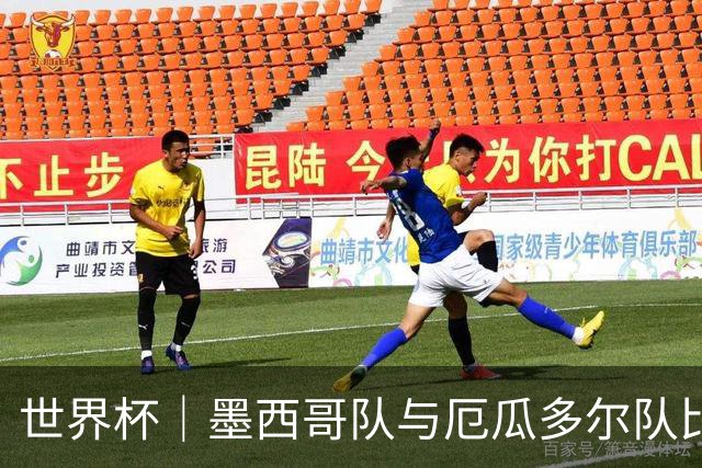 世界杯｜墨西哥队与厄瓜多尔队比赛因雷雨延迟